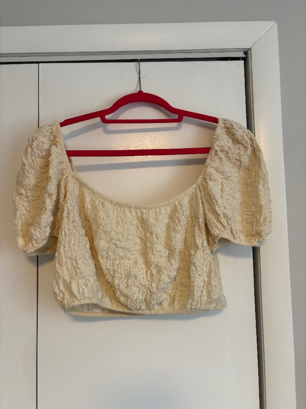 Zara Puff Sleeve Top